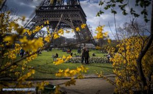 Jardines de la torre eiffel- Primavera-Francia