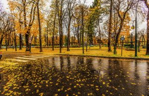 Francia en otoño