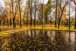 Paris raining autumn cityscape