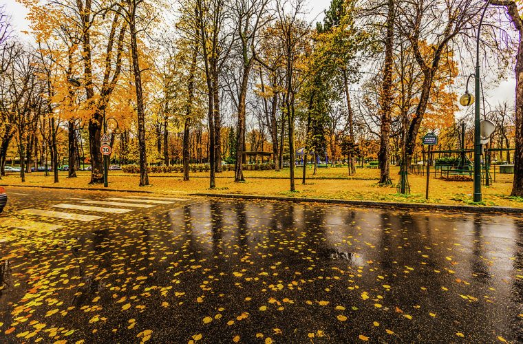 Paris raining autumn cityscape