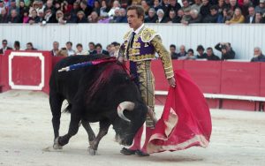 Corrida de toros en la Feria de pascuas en Francia.